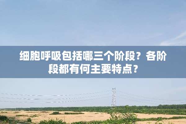 细胞呼吸包括哪三个阶段？各阶段都有何主要特点？