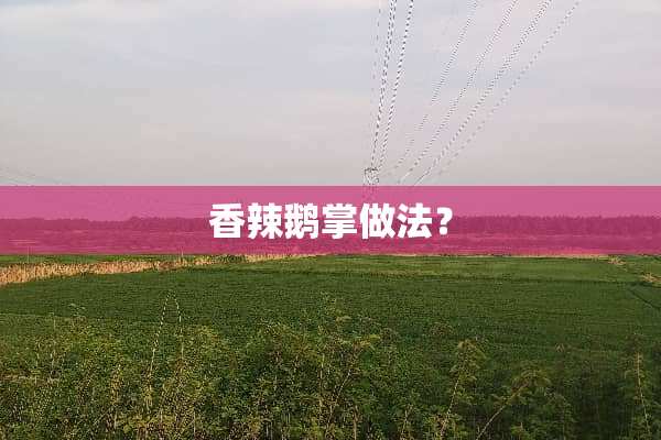 香辣鹅掌做法？