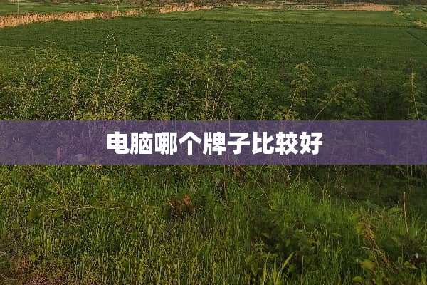 电脑哪个牌子比较好