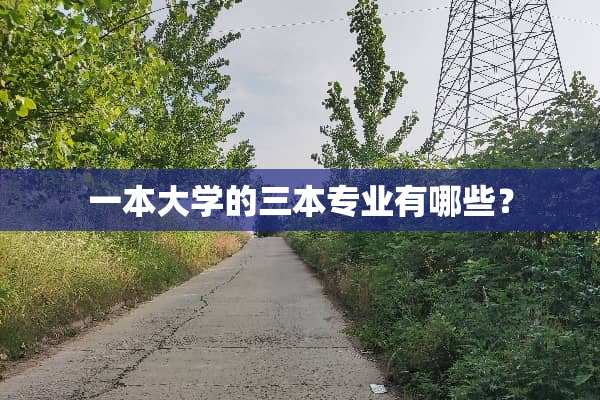 一本大学的三本专业有哪些？