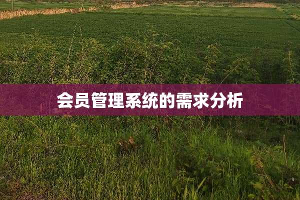 会员管理系统的需求分析