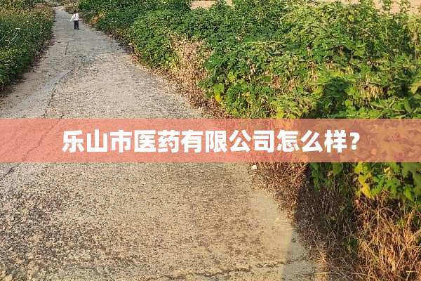 乐山市医药有限公司怎么样？