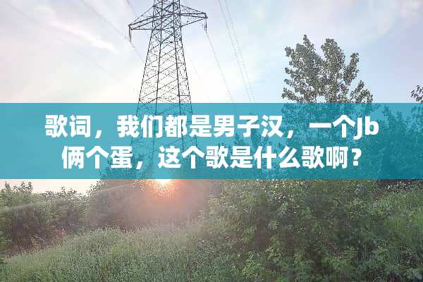歌词，我们都是男子汉，一个Jb俩个蛋，这个歌是什么歌啊？