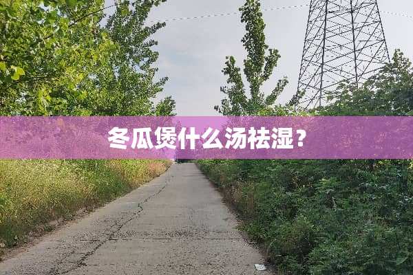 冬瓜煲什么汤祛湿？