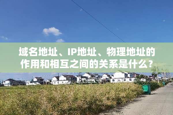 域名地址、IP地址、物理地址的作用和相互之间的关系是什么？