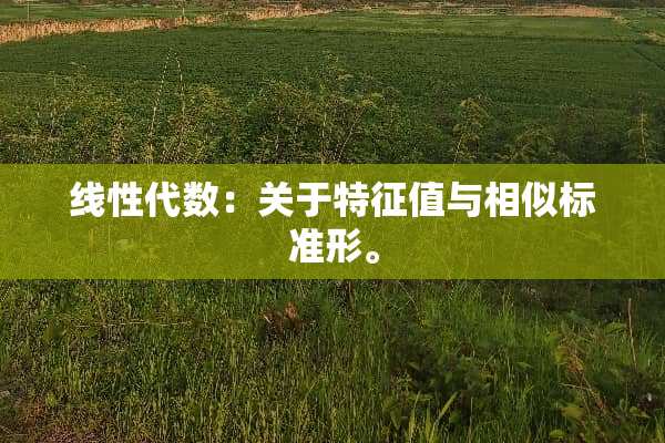 线性代数：关于特征值与相似标准形。