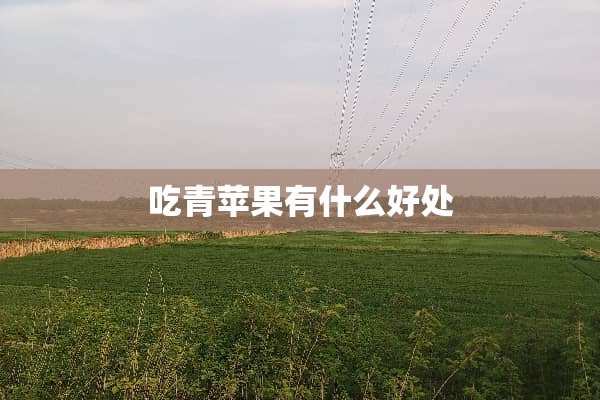 吃青苹果有什么好处