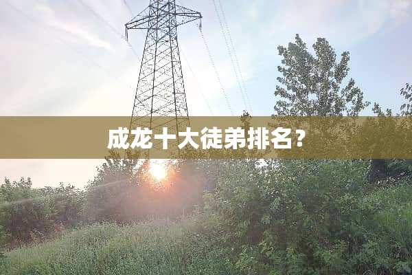 成龙十大徒弟排名？