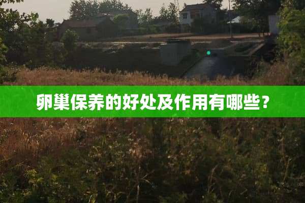 卵巢保养的好处及作用有哪些？
