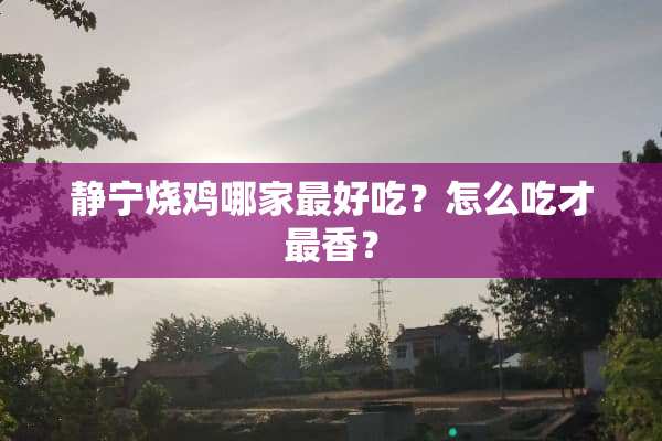 静宁烧鸡哪家最好吃？怎么吃才最香？