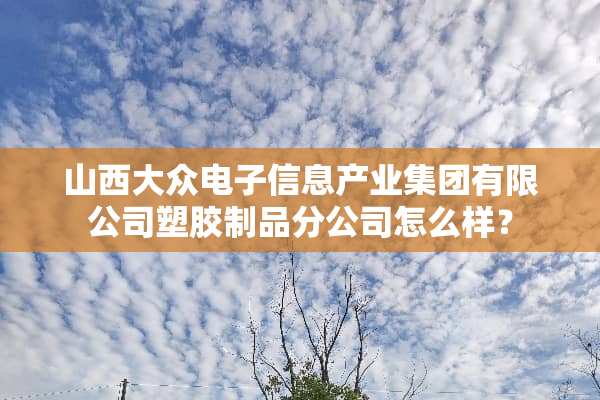 山西大众电子信息产业集团有限公司塑胶制品分公司怎么样？