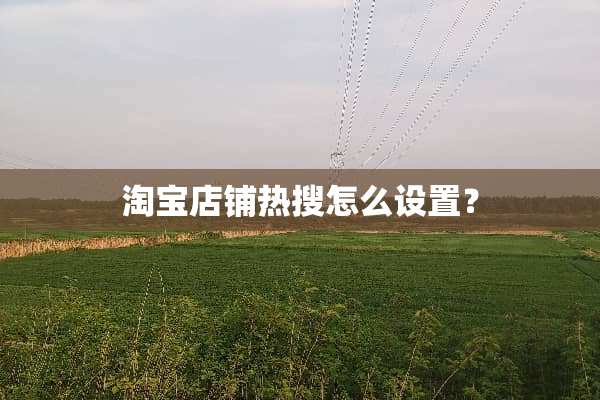 淘宝店铺热搜怎么设置？