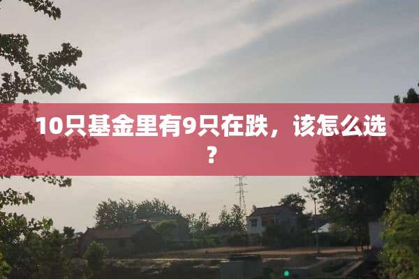 10只基金里有9只在跌，该怎么选？