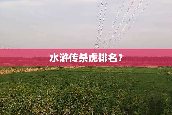 水浒传杀虎排名？