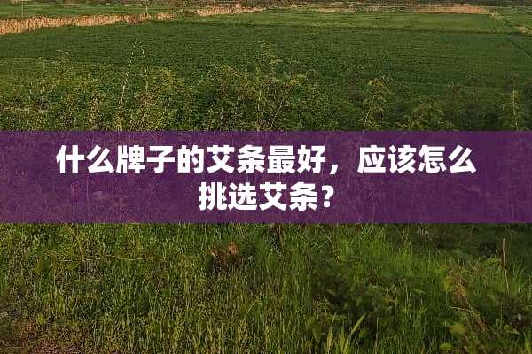 什么牌子的艾条最好，应该怎么挑选艾条？