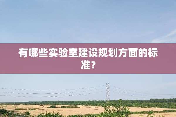有哪些实验室建设规划方面的标准？