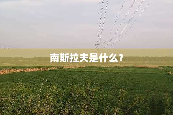 南斯拉夫是什么？