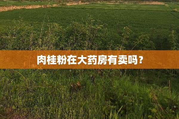 肉桂粉在大药房有卖吗？