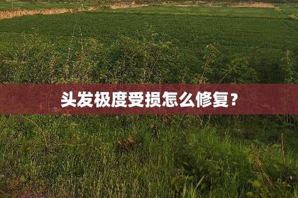 头发极度受损怎么修复？