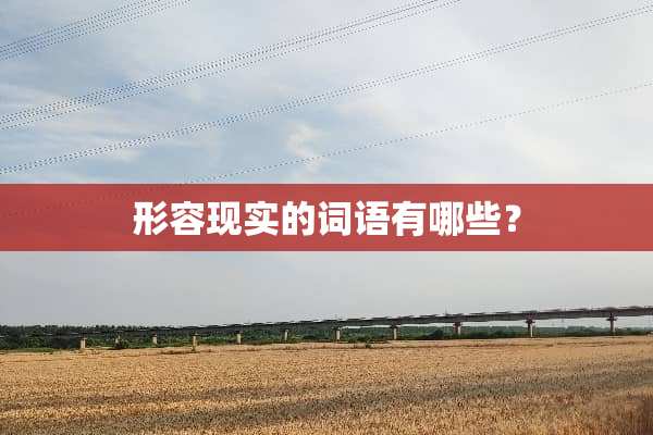 形容现实的词语有哪些？