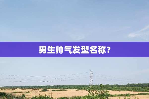 男生帅气发型名称？