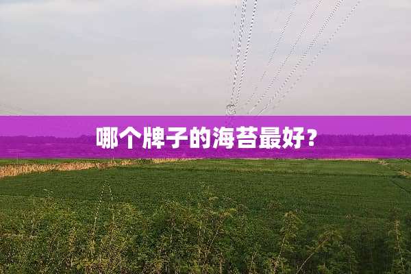 哪个牌子的海苔最好？