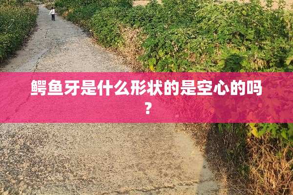 鳄鱼牙是什么形状的是空心的吗？