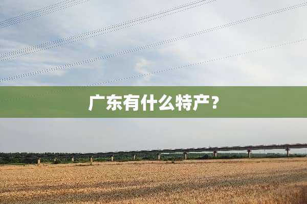 广东有什么特产？