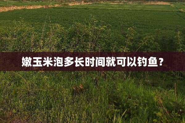 嫩玉米泡多长时间就可以钓鱼？