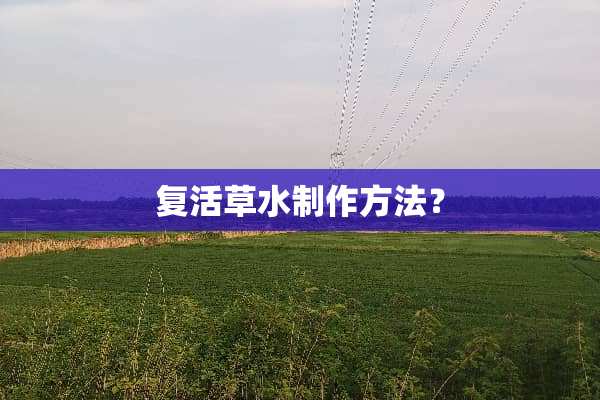 **草水制作方法？