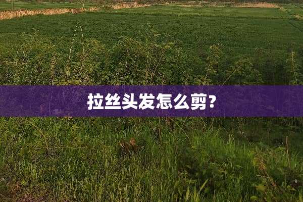 拉丝头发怎么剪？