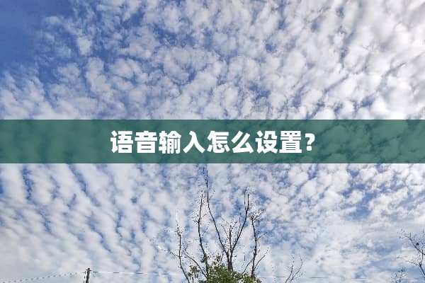 语音输入怎么设置？