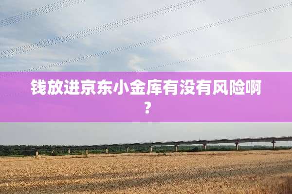 钱放进京东小金库有没有风险啊？