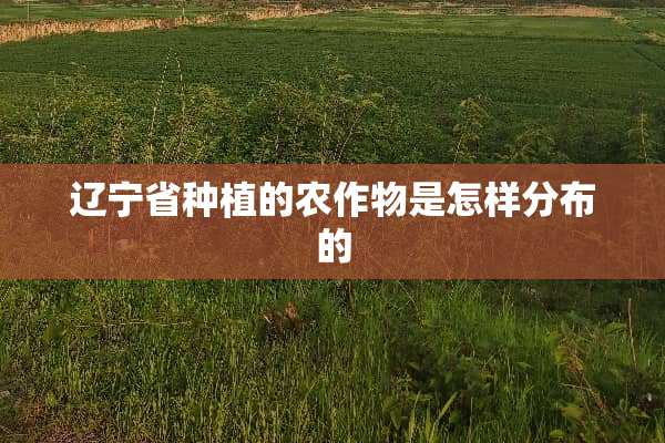 辽宁省种植的农作物是怎样分布的