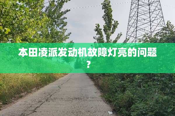 本田凌派发动机故障灯亮的问题？