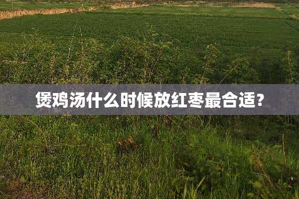 煲鸡汤什么时候放红枣最合适？