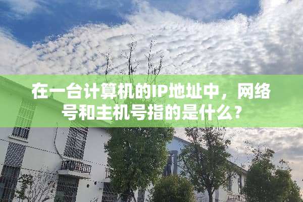 在一台计算机的IP地址中，网络号和主机号指的是什么？