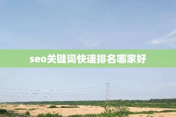 seo关键词快速排名哪家好