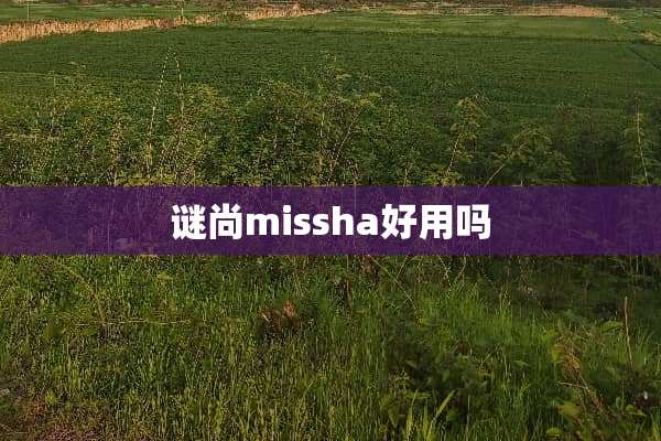 谜尚missha好用吗
