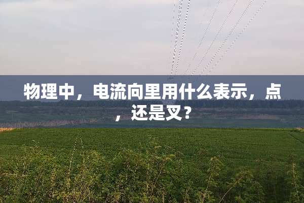 物理中，电流向里用什么表示，点，还是叉？