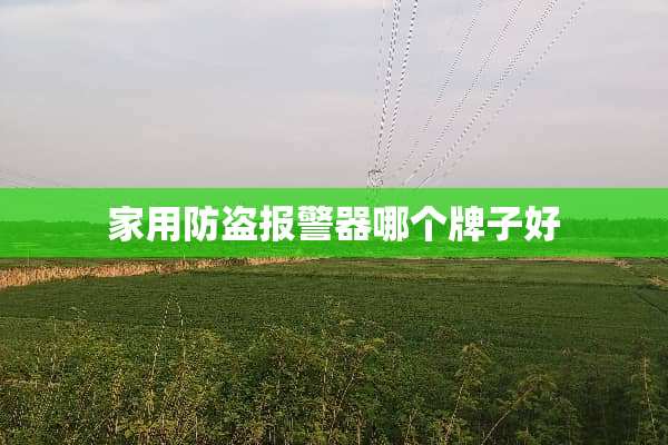 家用防盗报警器哪个牌子好