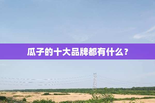 瓜子的十大品牌都有什么？