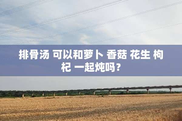 排骨汤 可以和萝卜 香菇 花生 枸杞 一起炖吗？