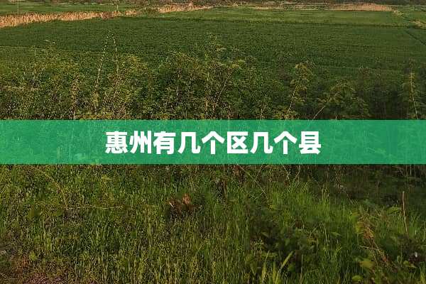 惠州有几个区几个县