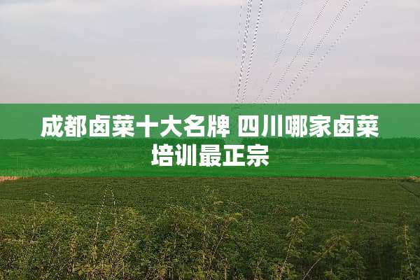 成都卤菜十大名牌 四川哪家卤菜培训最正宗