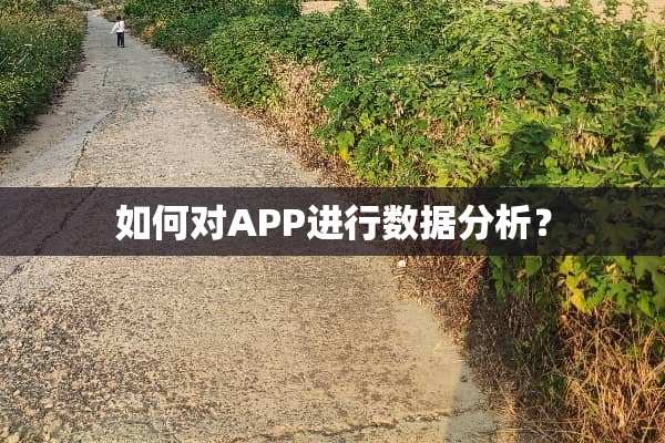 如何对APP进行数据分析？