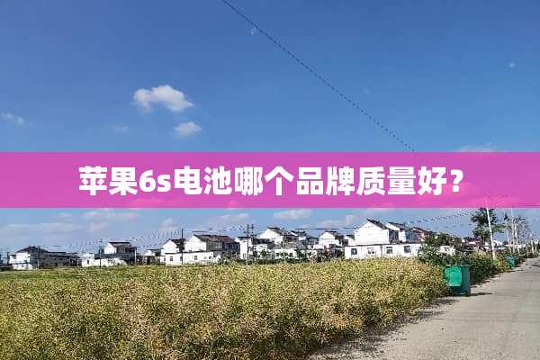 苹果6s电池哪个品牌质量好？