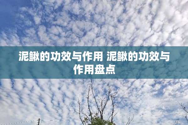 泥鳅的功效与作用 泥鳅的功效与作用盘点