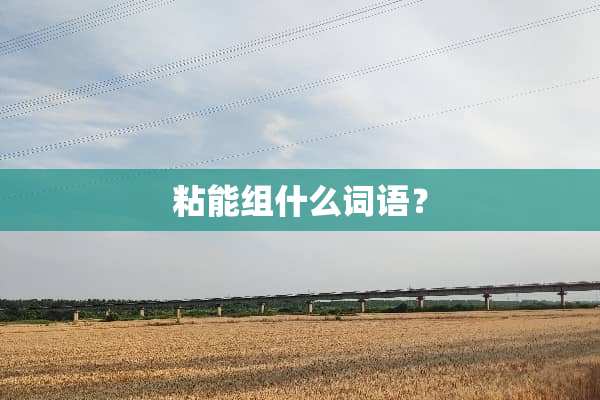 粘能组什么词语？