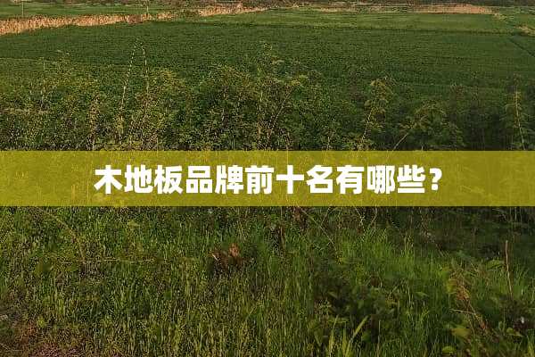 木地板品牌前十名有哪些？